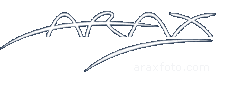 http://araxfoto.com/