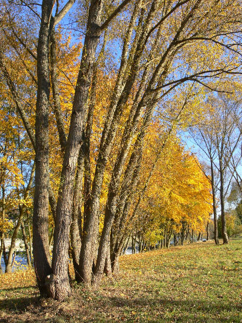 An der Saar bei Kleinblittersdorf